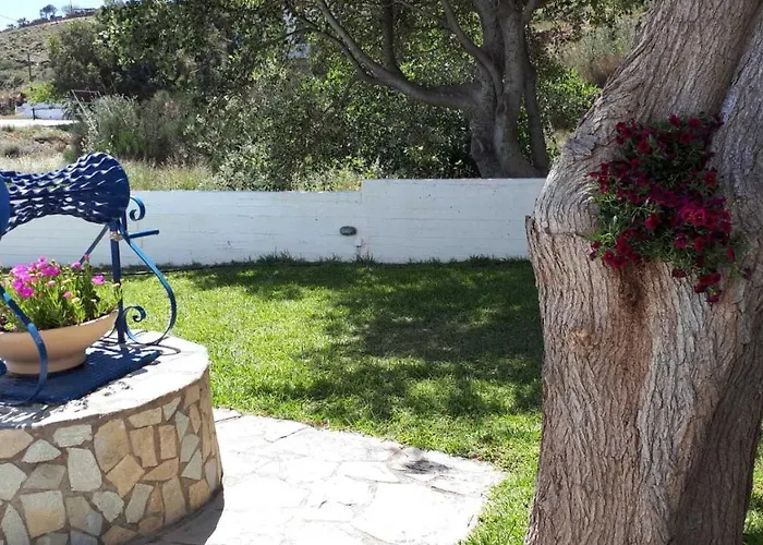 Restia Agios Petros (Andros)