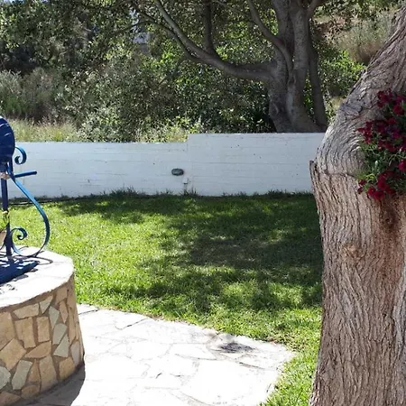 Restia Agios Petros (Andros)