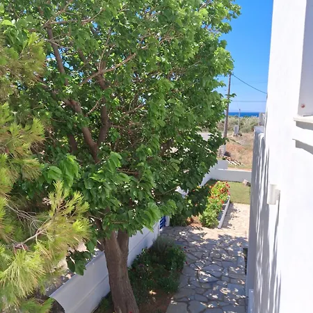Restia * Agios Petros (Andros)
